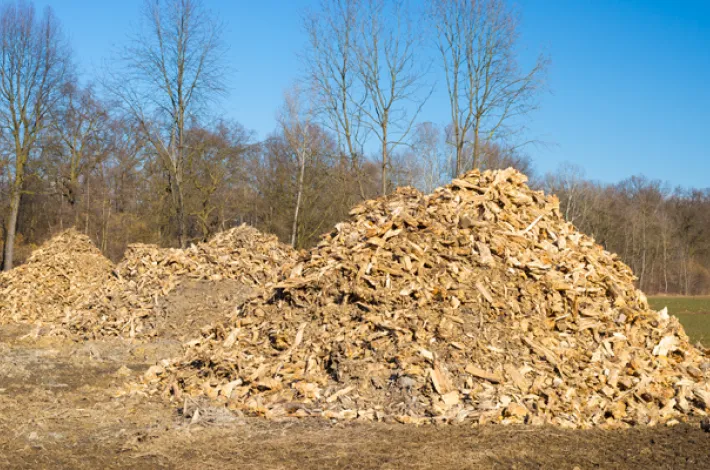 Le gaz naturel sorti du bois